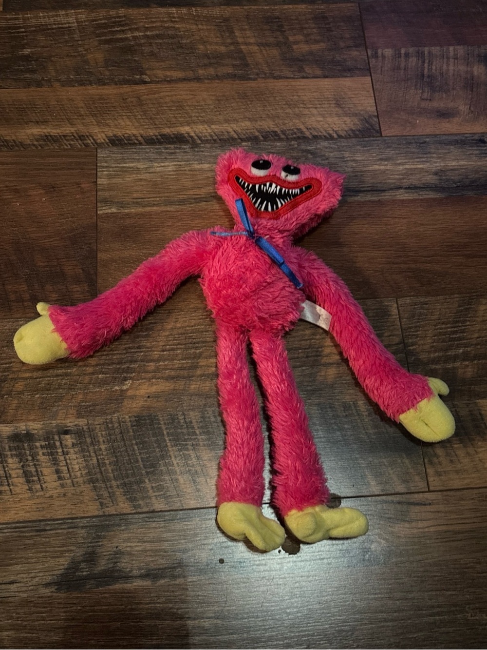 Poppy’s playhouse kissy missy plush collectible